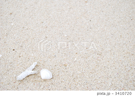 珊瑚と貝(横) 珊瑚と貝(横) 3410720