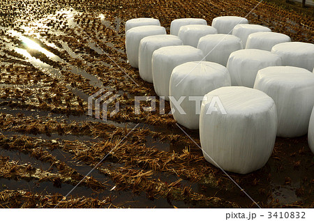 ロールベールサイレージ 3410832