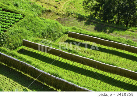 田舎の風景 3410859
