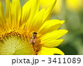 ひと休み 3411089