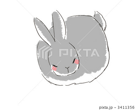 うちのうさぎ6 うちのうさぎ6 3411356