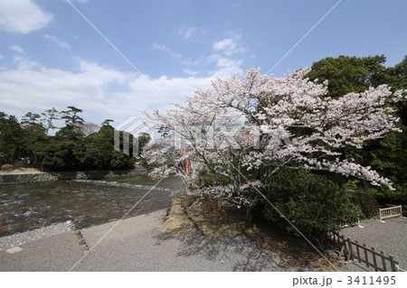 伊勢神宮と五十鈴川 伊勢神宮と五十鈴川 3411495
