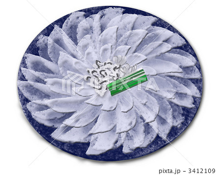 ふぐ刺し とらふぐ 河豚のイラスト素材