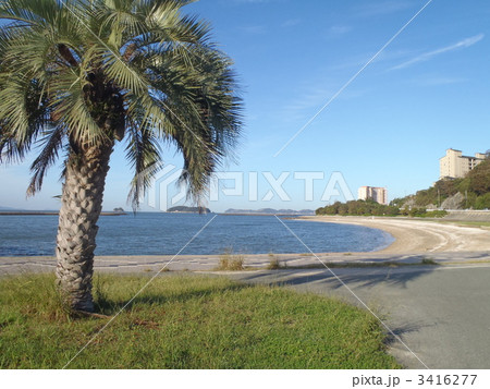 大塚海岸緑地からの風景 3416277