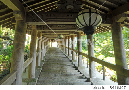 【西国三十三所】第八番 長谷寺の中登廊と吊灯籠 奈良県桜井市 【西国三十三所】第八番 長谷寺の中登廊と吊灯籠 奈良県桜井市 3416807