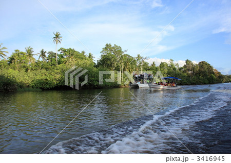ボルネオ島 リバーサファリ ボルネオ島 リバーサファリ 3416945