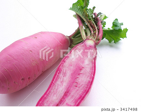 赤大根 3417498