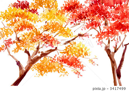 kouyou111025pix. 3417499