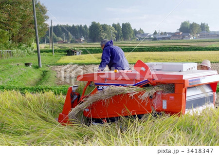 稲刈り風景 3418347