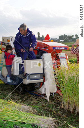 稲刈り風景 3418585