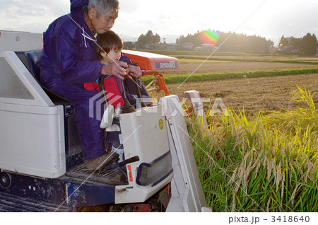 稲刈り風景 3418640