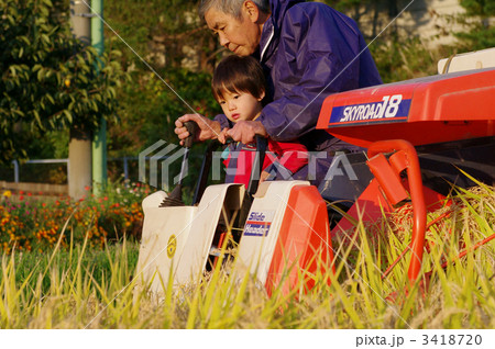 稲刈り風景 稲刈り風景 3418720