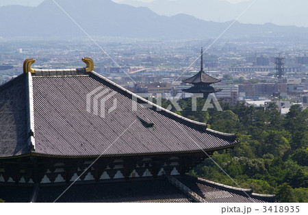 大仏殿と五重塔 大仏殿と五重塔 3418935