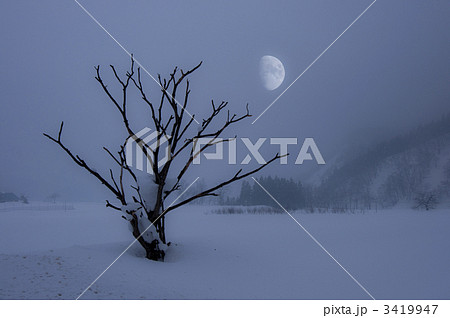 月と雪景色 3419947