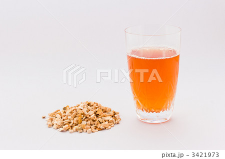 目薬の木 3421973