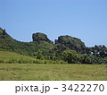 キッシング・ゴリラ 3422270
