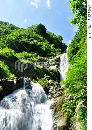 新緑の滝 3423691