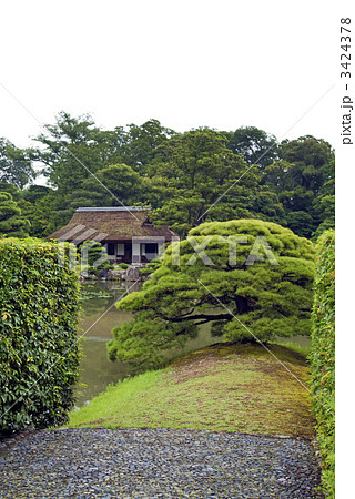 桂離宮 衝立の松「住吉の松」と松琴亭の写真素材 [3424378] - PIXTA