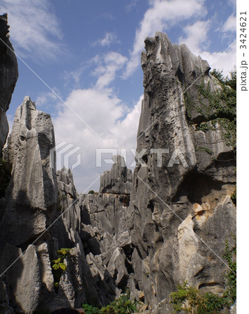 中国・石林 3424621