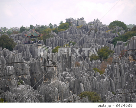 中国・石林 3424639