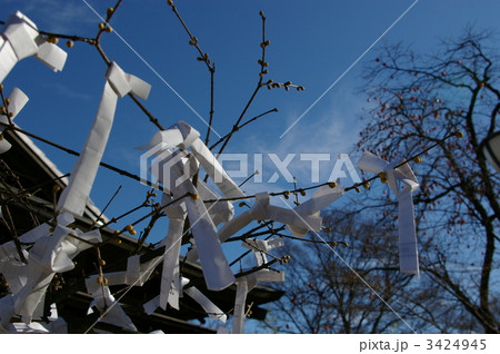 おみくじ 3424945