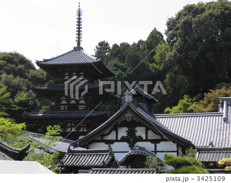 当麻寺 三重塔 (西塔) と 西南院 当麻寺 三重塔 (西塔) と 西南院 3425109