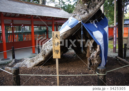 生島足島神社と夫婦欅 3425305
