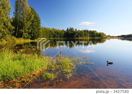 summer scenic 3427580