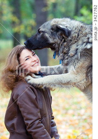 teenager with a dog teenager with a dog 3427762