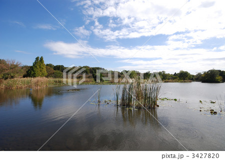 見沼自然公園 見沼自然公園 3427820