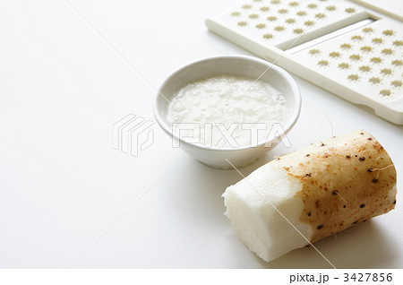 ナガイモ 3427856