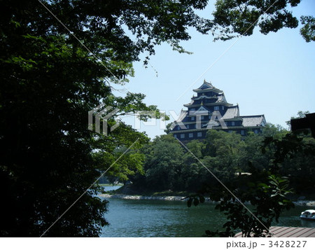夏の岡山城 3428227