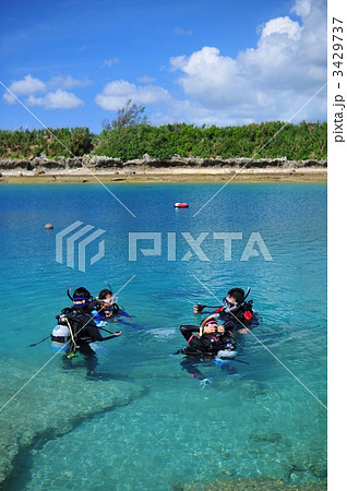 ダイビング講習 ダイビング講習 3429737
