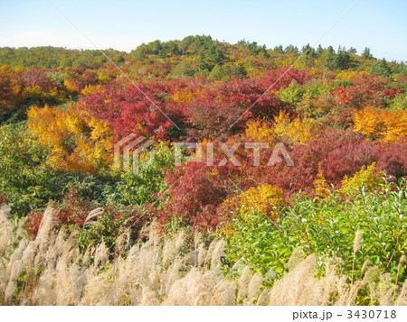 栗駒山の紅葉 3430718