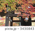 紅葉の彩 3430843