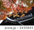 三門の秋 3430845