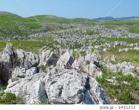 秋吉台 カルスト台地 秋吉台 カルスト台地 3431253