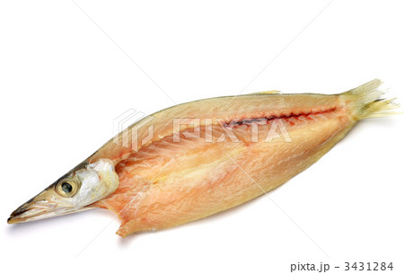 カマスの干物 3431284