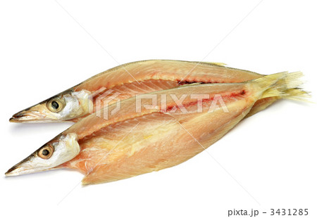 カマスの干物 3431285