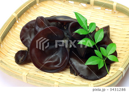 生キクラゲ 生キクラゲ 3431286