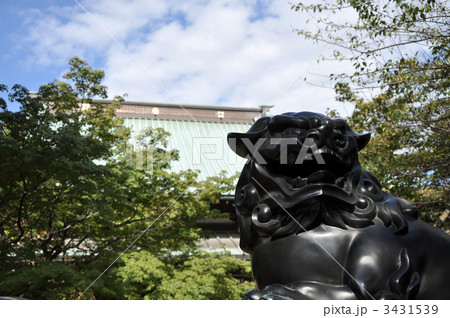 世田谷区 豪徳寺 世田谷区 豪徳寺 3431539