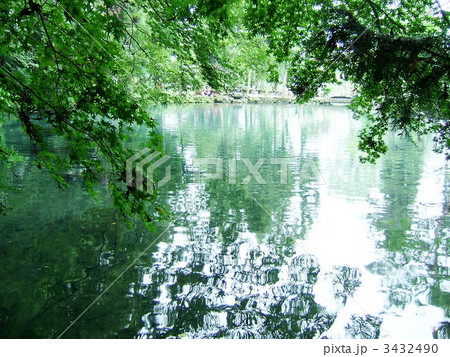 出流原弁天池の新緑 出流原弁天池の新緑 3432490