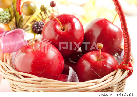 アルプス乙女 3433933