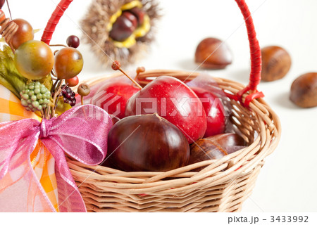 アルプス乙女と栗 3433992