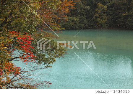 磐井川の紅葉 3434319