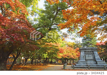盛岡城跡公園の紅葉 盛岡城跡公園の紅葉 3434425