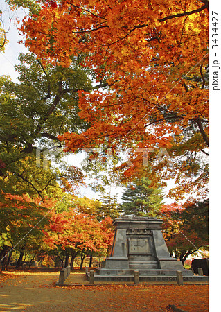 盛岡城跡公園の紅葉 3434427