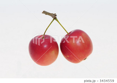 姫リンゴ 3434559