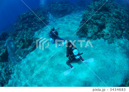 ダイビング講習 3434683