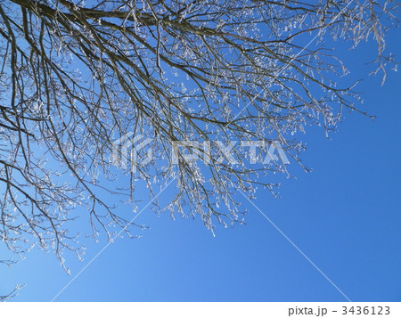 ドイツの雪景色 ドイツの雪景色 3436123